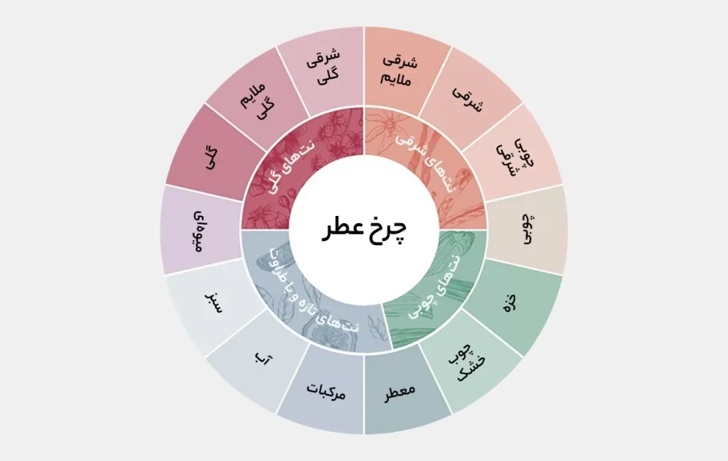 خانواده بویایی و چرخ عطر