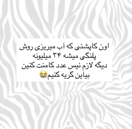 بارانی چیتا