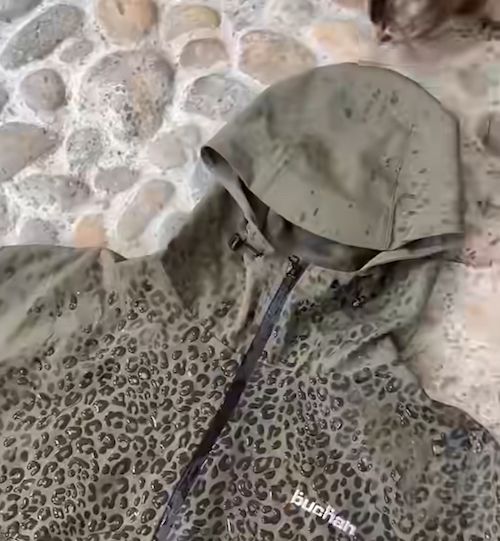 بارانی چیتا