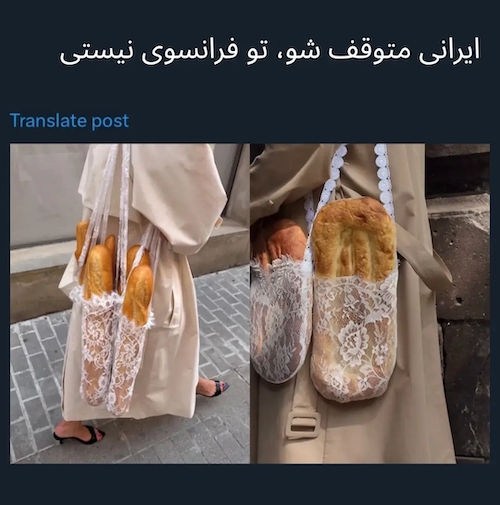 کیف توری حمل باگت