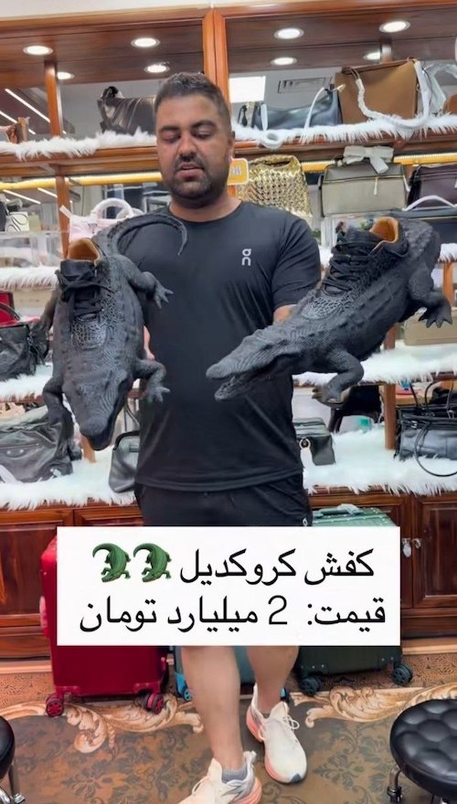 کفش کروکودیل مردانه